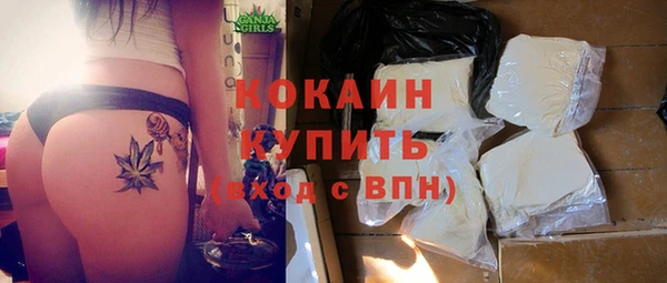 spice Карпинск
