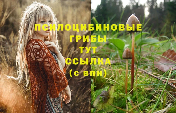 МДМА Карталы