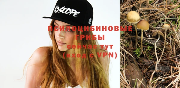 spice Карпинск